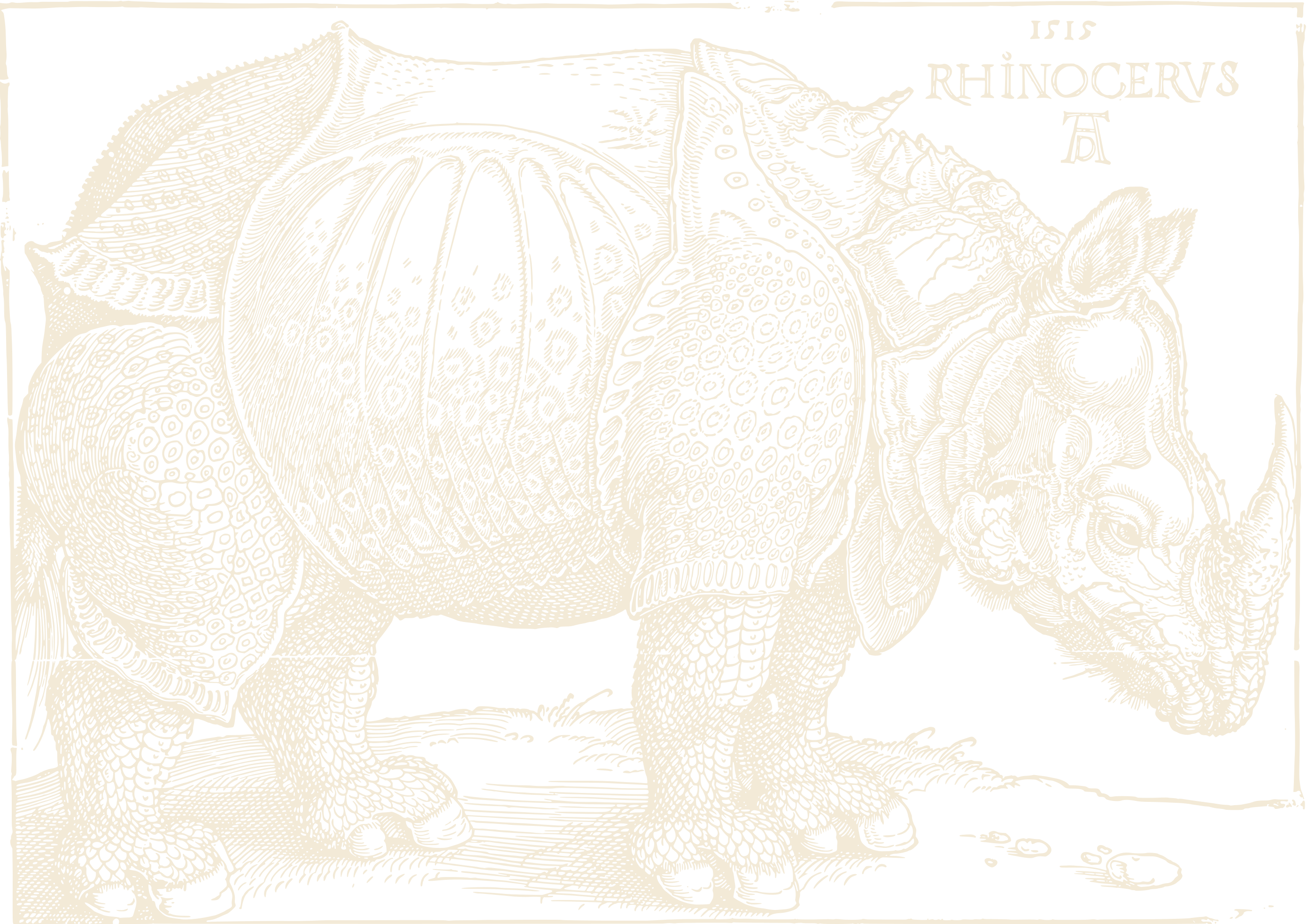 Rinoceronte de perfil, virado para a direita, coberto de placas como uma armadura, com escamas nas pernas e um pequeno chifre extra nas costas; no alto, a data 1515, a palavra RHINOCERVS e o monograma de Dürer.